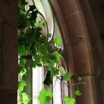 Vakantiehuis Schweizerhaus *