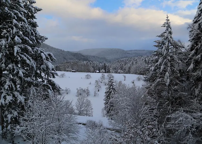 Schweizerhaus בית נופש *