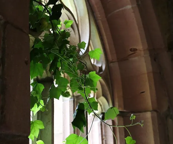 בית נופש Schweizerhaus *