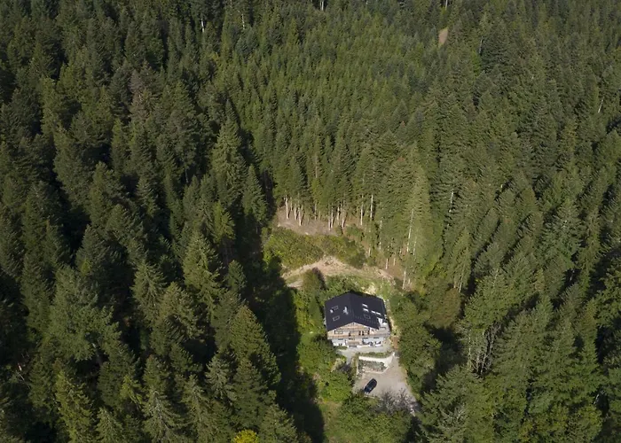 Schweizerhaus * Alpirsbach