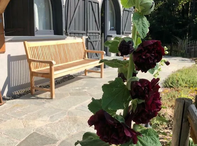 Schweizerhaus אלפירסבאך