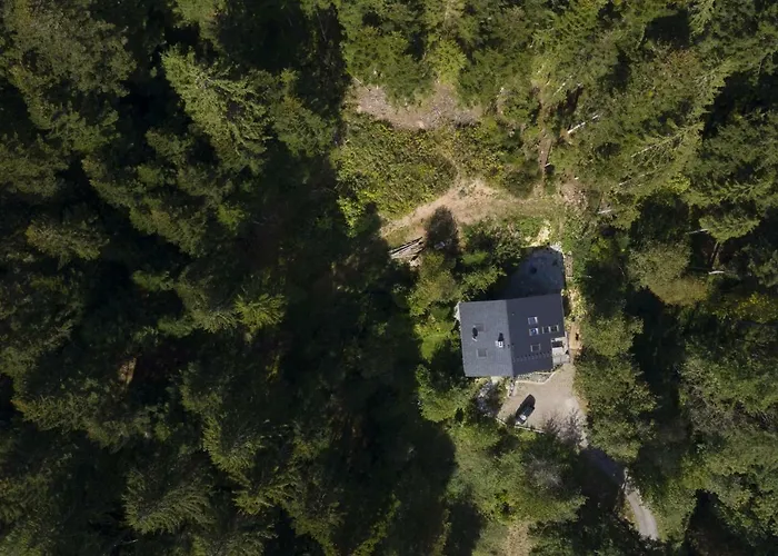 Schweizerhaus אלפירסבאך