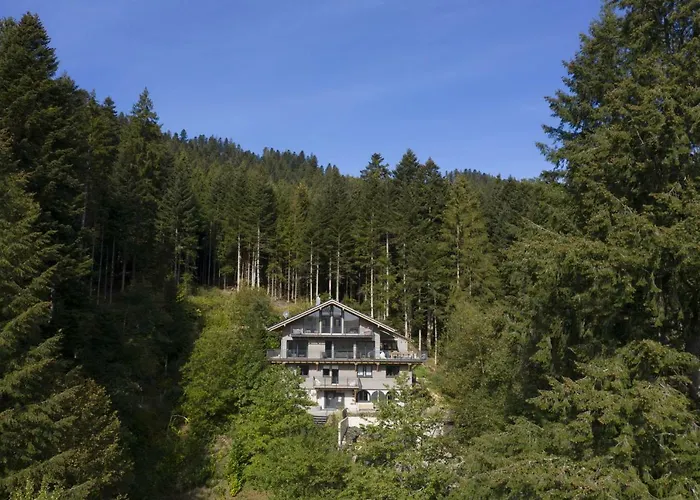 Schweizerhaus * אלפירסבאך