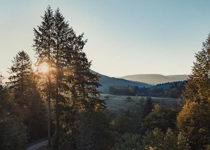 Schweizerhaus * אלפירסבאך